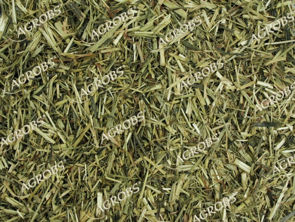 Agrobs Grünhafer 15kg – Bild 2