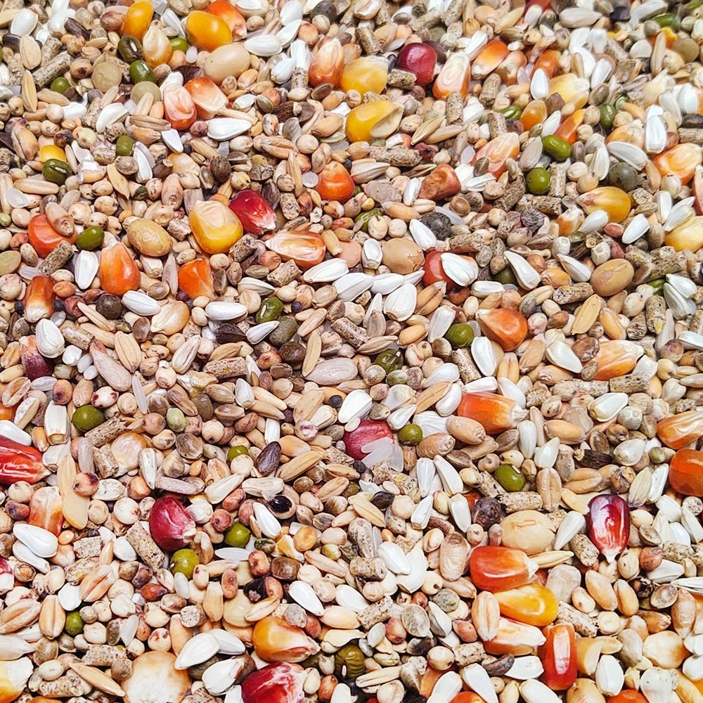 Vanrobaeys Nr.53 Sport Ultra Pro - Revolution 20kg