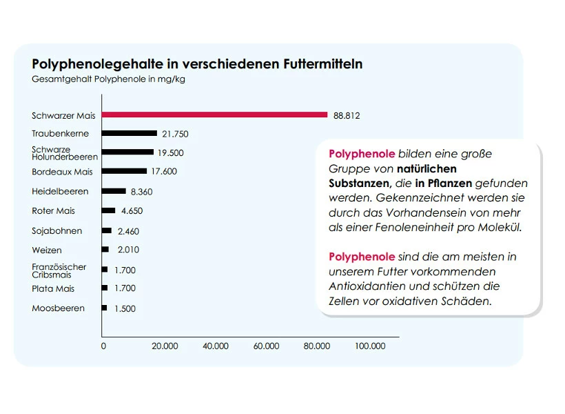 Versele Master Black 20kg â Bild 3