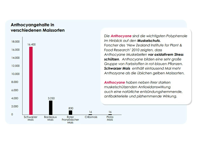 Versele Master Black 20kg â Bild 4