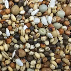 Beyers 48 - Olympia Zucht- & Jungtauben Ohne Mais 25kg