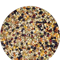 Versele Champion Plus IC+ Black Label, 20kg