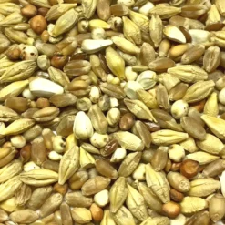 Gladen Säuberung 25kg