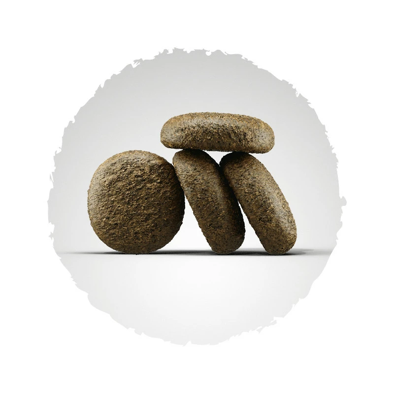 Josera Lachs&Kartoffel 2er-Pack 30kg â Bild 2