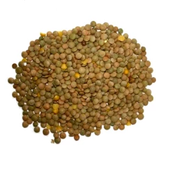 Linsen - Vanrobaeys 25kg