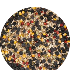 Versele Master Black 20kg