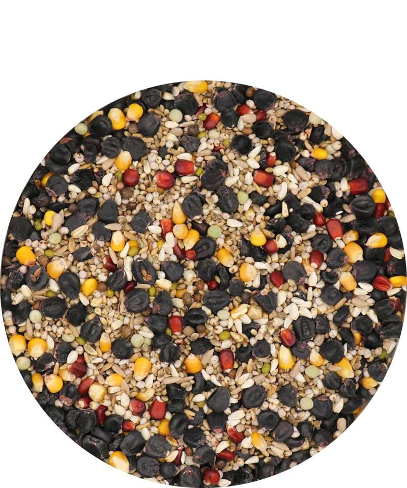 Versele Master Black 20kg