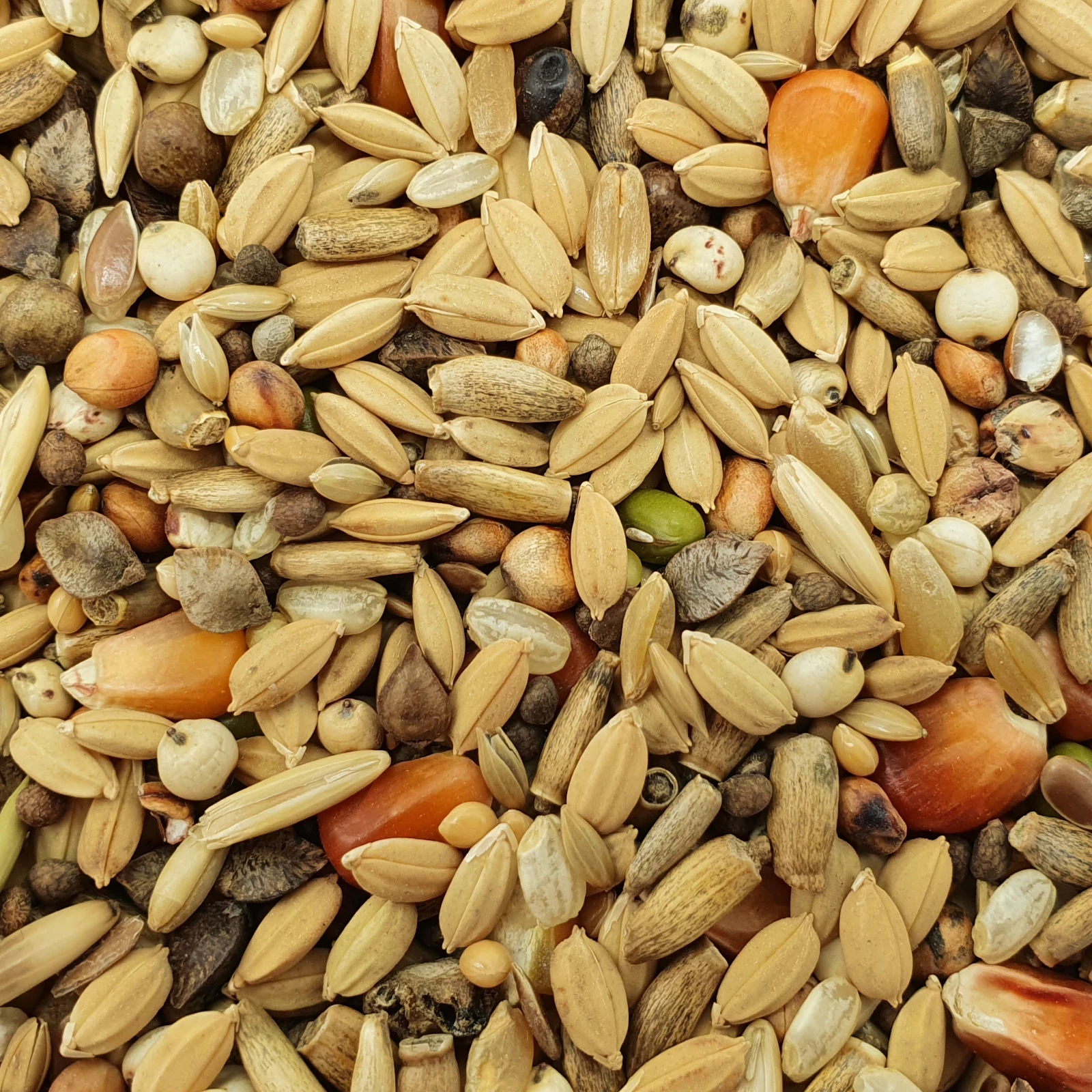 Matador Premium Detox 10kg