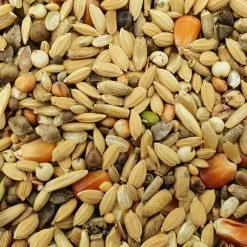 Matador Premium Detox 20kg