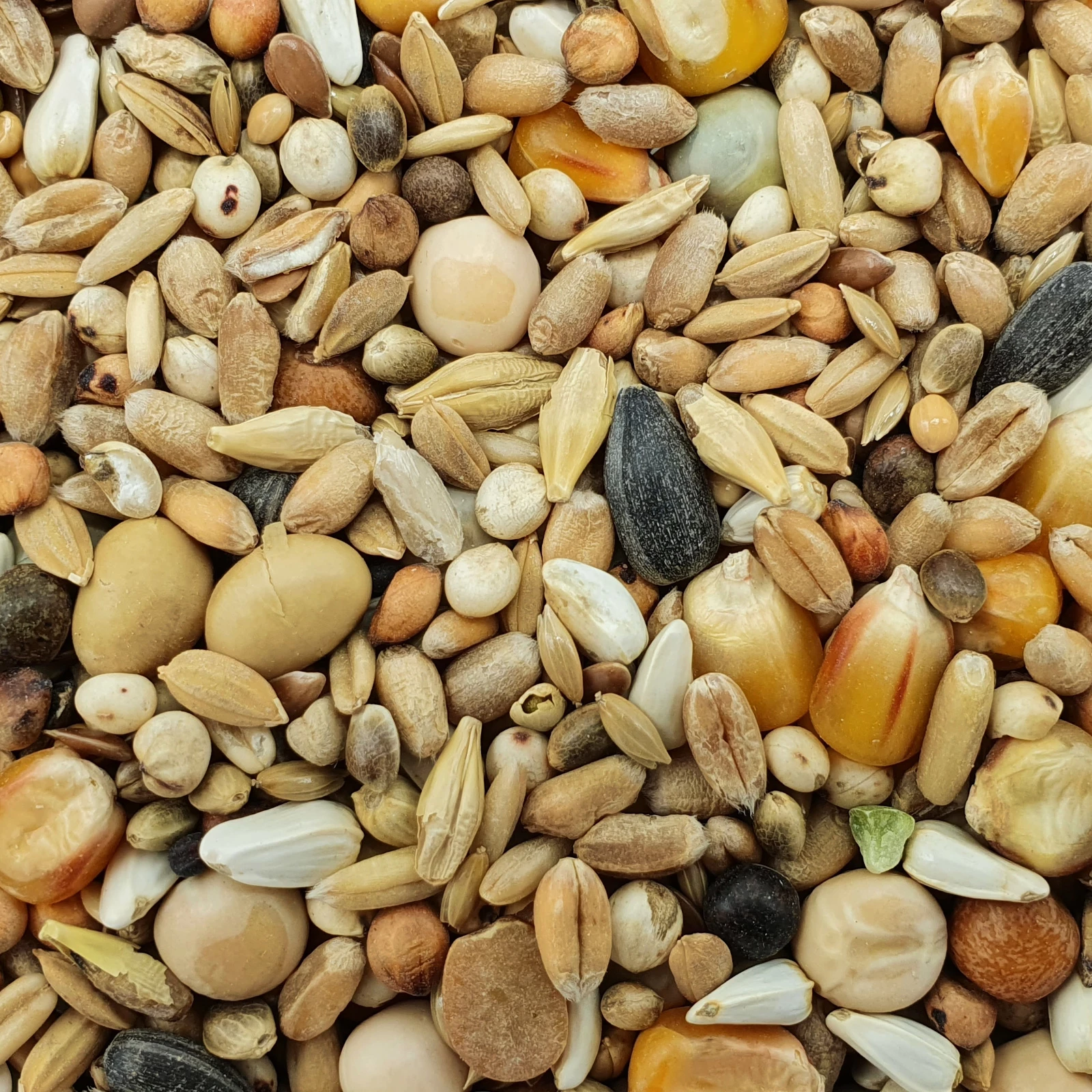 Matador Premium Mauser 25kg