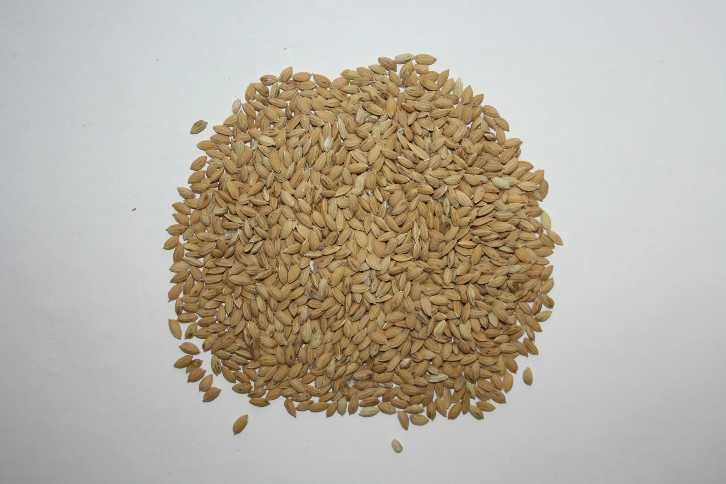 Paddyreis - Vanrobaeys 20kg