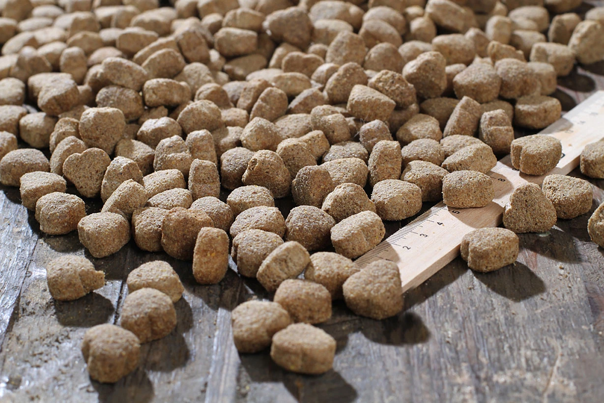 Bewital Bewi Dog Balance 12,5kg â Bild 3