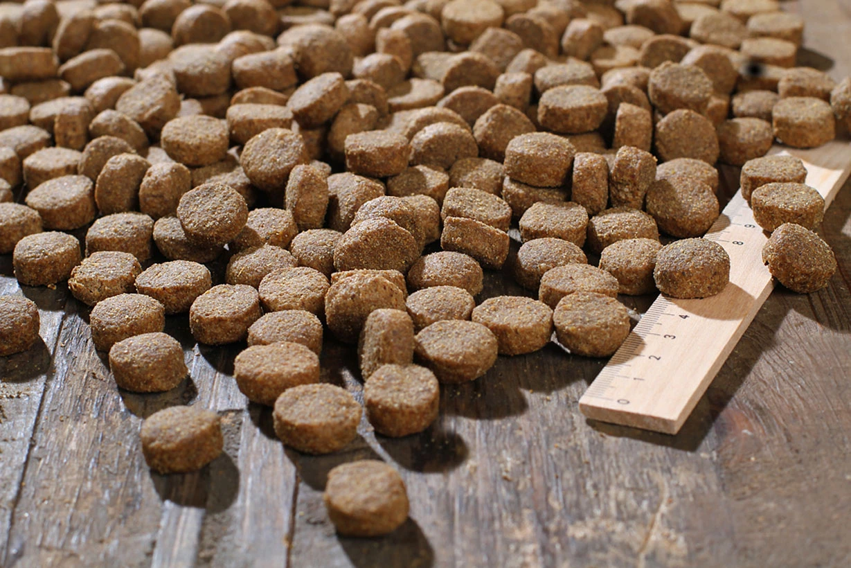 Bewital Bewi Dog Basic 12,5kg â Bild 3