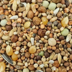 Spinne Stipsky Mischung - TĂŒmmler 25kg