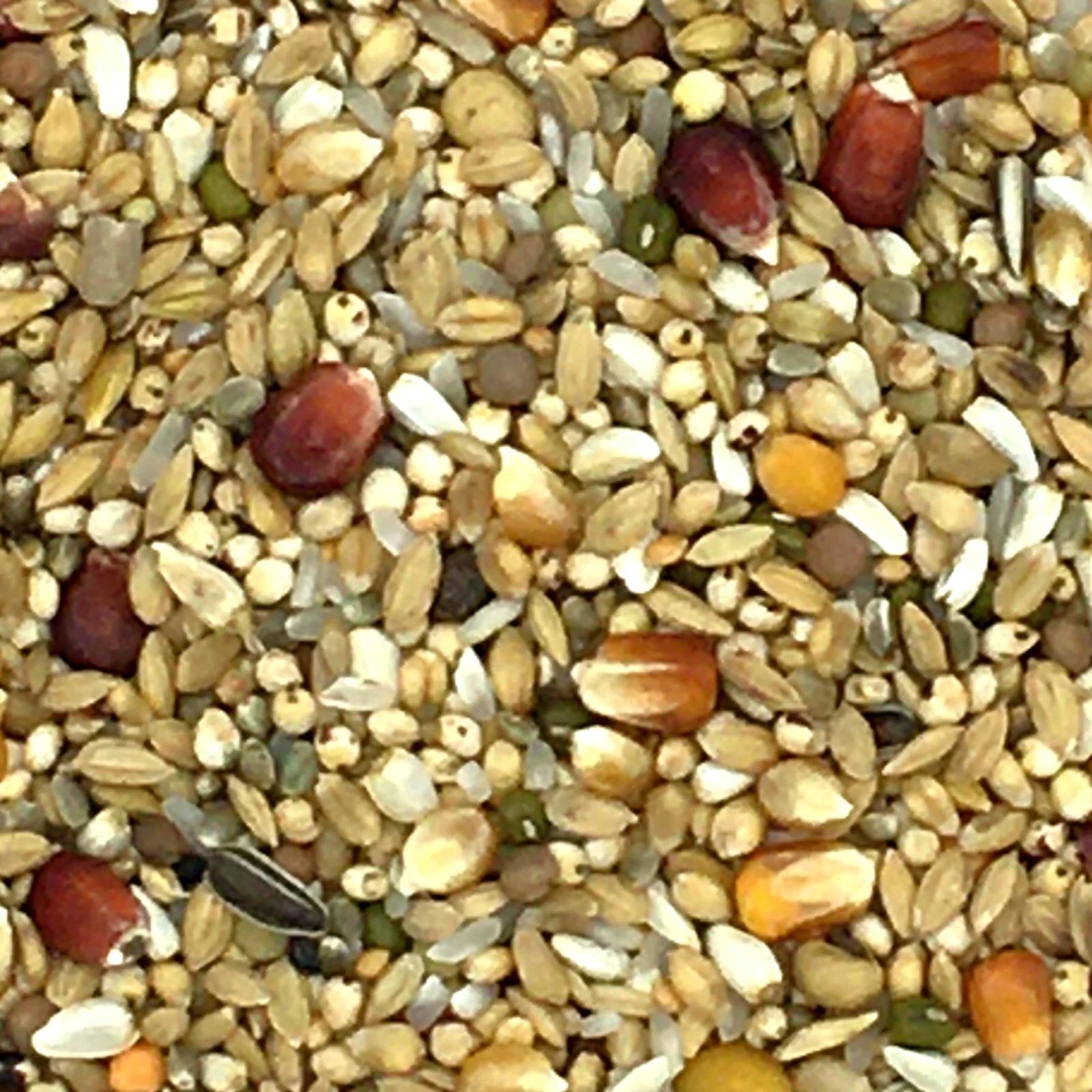 Vanrobaeys Nr.183 Relax Premium Power 20kg